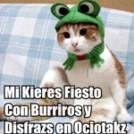 Segundo Aniversario (Fiesta, Cosplay y Disfraces de Halloween)